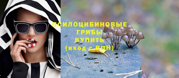 ПСИЛОЦИБИНОВЫЕ ГРИБЫ Арсеньев