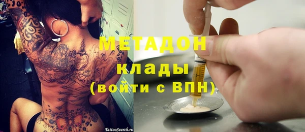 ПСИЛОЦИБИНОВЫЕ ГРИБЫ Арсеньев