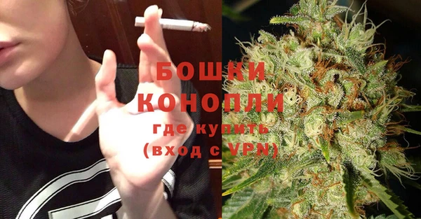 ПСИЛОЦИБИНОВЫЕ ГРИБЫ Арсеньев