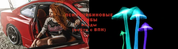 сатива Армянск